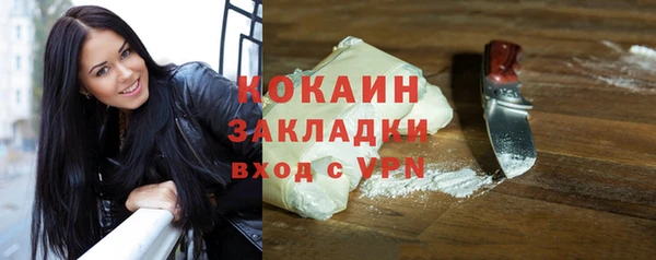 стаф Арсеньев