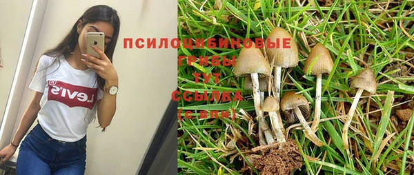 гашик Алексеевка