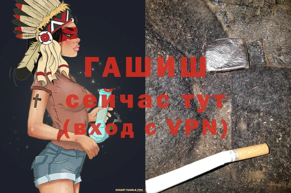 стаф Арсеньев