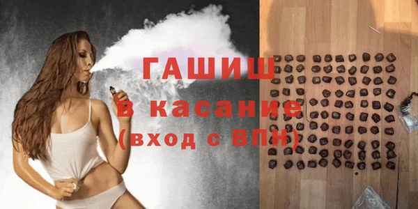 стаф Арсеньев
