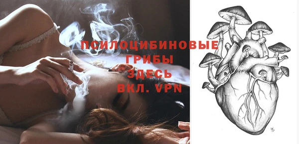 стаф Арсеньев