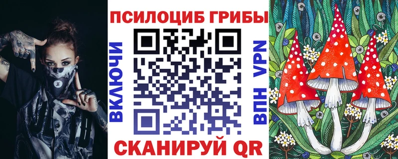 Псилоцибиновые грибы Cubensis  это формула  Пустошка 